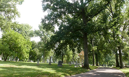View down Woodbine Avenue through the historic center of the cemetery.