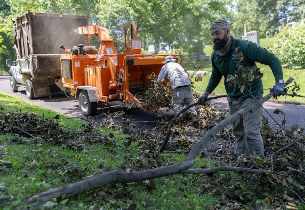 From St. Louis Post-Dispatch: Nathan Evans, right, and Cody Frawley feed fallen limbs into a grinder on Monday, July 10, 2023 at Bellefontaine Cemetery and Arboretum at the 4900 block of West Florissant Avenue in St. Louis. After severe storms battered the region, the cemetery, whose century-old trees have been a draw for nature enthusiasts and wildlife alike, was forced to close their gates for cleanup until further notice. Photo by Arthur H. Trickett-Wile, atrickett-wile@post-dispatch.com Media Links: Bellefontaine, Calvary cemeteries continue storm cleanup | ksdk.com ST. LOUIS — More than nine days after storms devastated the St. Louis area, cleanup continues at two of the St. Louis area's largest cemeteries. The skies have cleared over Bellefontaine Cemetery and Arboretum, but President and CEO Sherry Smith still can’t believe what she saw once the storms passed. “It was complete devastation,” said Sherry Smith, President and CEO of Bellefontaine Cemetery & Arboretum. The roadways were impassable. There was debris everywhere. It was really unimaginable.” For the past nine days, Bellefontaine Cemetery and Arboretum has remained closed. “Our sole purpose is safety,” said Smith. “We’re still conducting funerals, so we have to strategically comb through the areas making sure it’s safe with no widow makers hanging from the trees and that it’s safe to walk on the lots.” Read More: https://www.ksdk.com/article/news/bellefontaine-calvary-closed-as-storm-cleanup-continues/63-4973f086-b54d-4f17-9039-fed7bccaf1b0 Other media links: KSDK: https://www.ksdk.com/article/news/local/historic-north-st-louis-cemeteries-storm-damage/63-9cfe185b-d6f5-4655-88d4-717c18d81967 KSDK: https://www.ksdk.com/video/news/local/historic-cemeteries-in-north-st-louis-hit-hard-by-recent-storms/63-4a9a31cf-4460-4056-862b-35349e2b3ccc FOX2: https://fox2now.com/news/missouri/cleanup-continues-for-2-historic-north-st-louis-cemeteries-after-severe-storm/ KMOX: https://www.audacy.com/kmox/news/local/bellefontaine-cemetery-closed-due-to-storm-damage Alton Telegraph: https://www.thetelegraph.com/news/article/bellefontaine-cemetery-stlouis-closed-18182955.php St. Louis Post-Dispatch: https://www.stltoday.com/news/local/metro/two-north-st-louis-cemeteries-closed-cleaning-up-after-storm-uproots-trees-damages-gravestones/article_eb08cd76-1f6d-11ee-9bbe-7bbcc6e9064f.html St. Louis Post-Dispatch: https://www.stltoday.com/news/multimedia/pictures/photos-storm-fells-trees-damages-gravestones-at-north-st-louis-cemeteries/collection_e37ea9f0-1f6c-11ee-80dc-5f4dd976c6ec.html